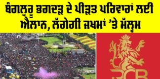 RCB Latest News