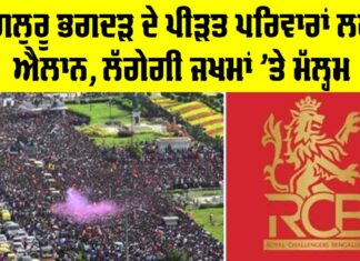 RCB Latest News