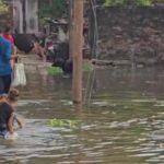 Jalandhar Flood News