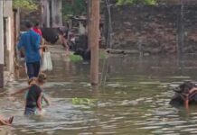 Jalandhar Flood News