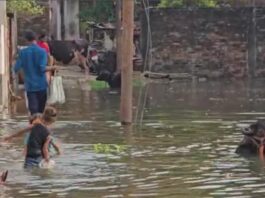 Jalandhar Flood News