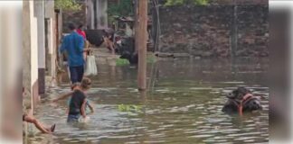 Jalandhar Flood News