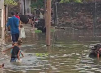 Jalandhar Flood News