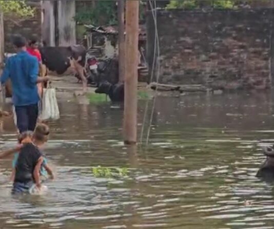 Jalandhar Flood News