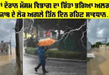 Rain Alert Punjab