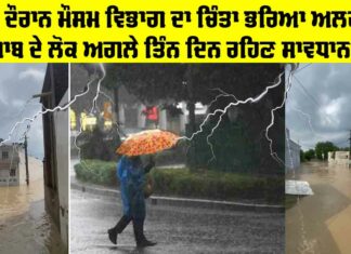 Rain Alert Punjab