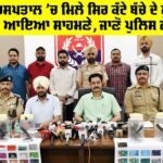 Rajindra Hospital Patiala News