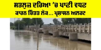 Satluj River News