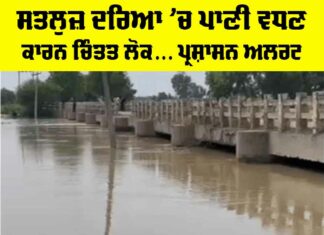 Satluj River News