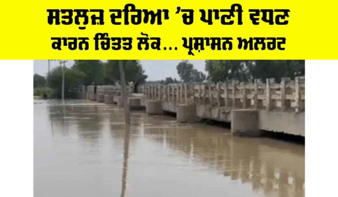 Satluj River News