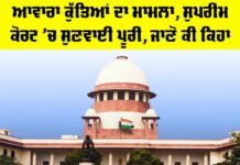 Stray Dogs Supreme Court Case