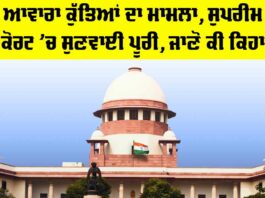 Stray Dogs Supreme Court Case