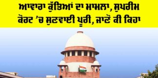 Stray Dogs Supreme Court Case