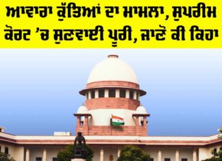 Stray Dogs Supreme Court Case