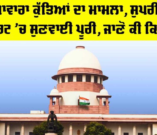 Stray Dogs Supreme Court Case