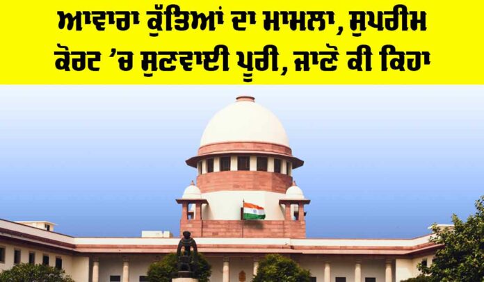 Stray Dogs Supreme Court Case