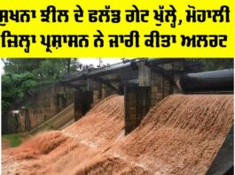 Sukhna Lake Flood Gate