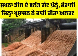 Sukhna Lake Flood Gate
