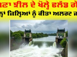 Punjab Flood Alert