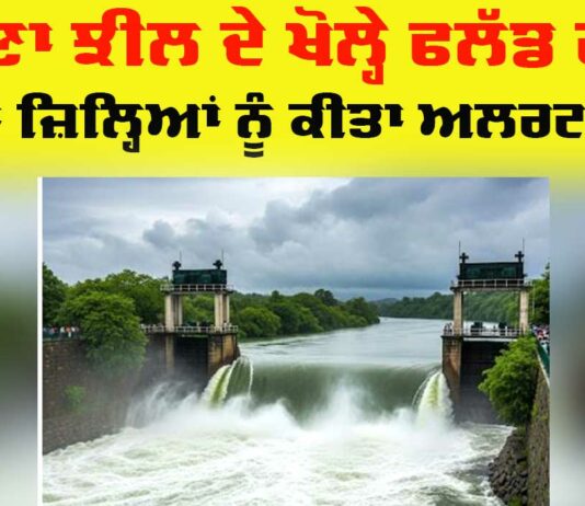 Punjab Flood Alert