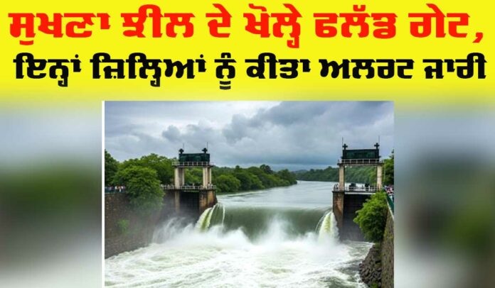 Punjab Flood Alert