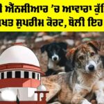 Supreme Court On Stray Dogs