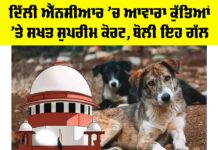 Supreme Court On Stray Dogs