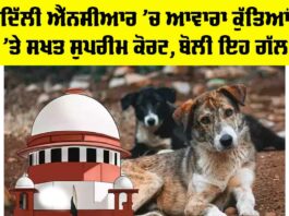 Supreme Court On Stray Dogs