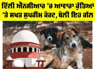 Supreme Court On Stray Dogs