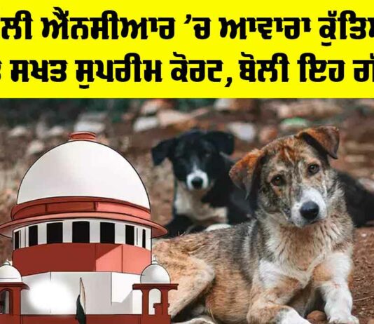 Supreme Court On Stray Dogs