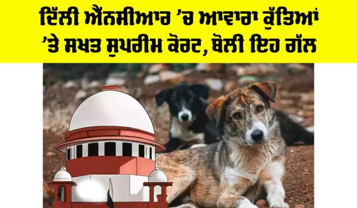 Supreme Court On Stray Dogs