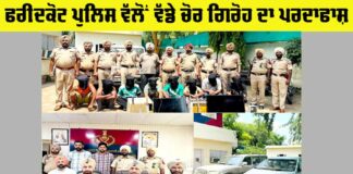 Thieves Gang Busted