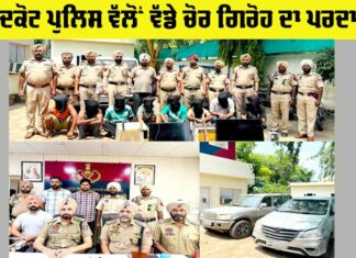 Thieves Gang Busted