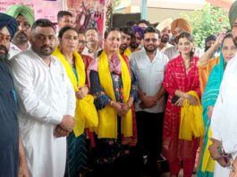 Tiyan Festival Punjab