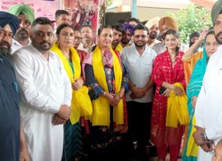 Tiyan Festival Punjab