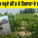 Weather Punjab