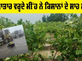 Weather Punjab