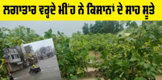 Weather Punjab