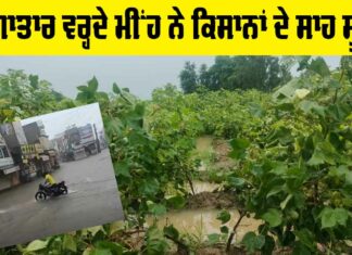 Weather Punjab
