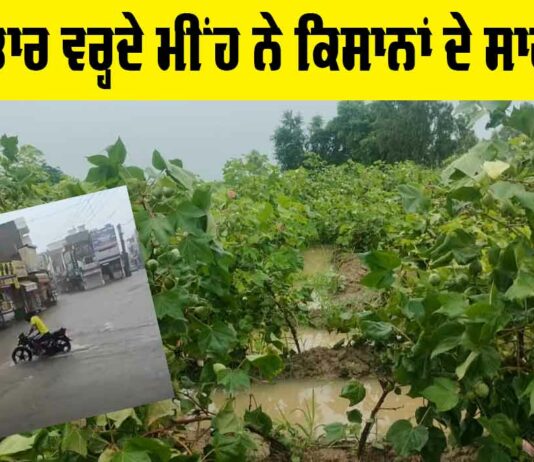 Weather Punjab