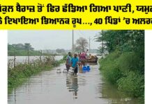 Yamuna River Flood Alert