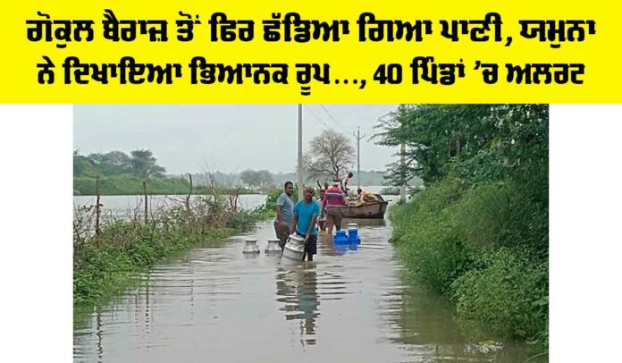 Yamuna River Flood Alert Yamuna River Flood Alert