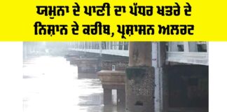 Yamuna Water Level