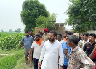 Satluj River