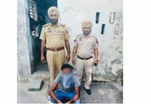 Absconder Arrested
