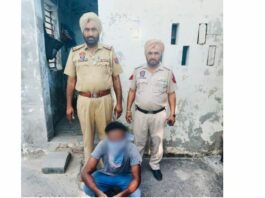 Absconder Arrested