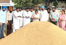 Amloh Paddy Procurement