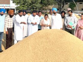 Amloh Paddy Procurement