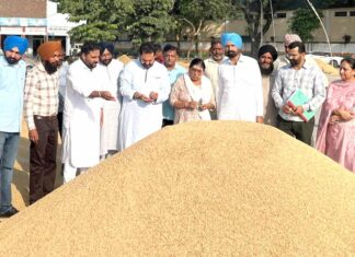 Amloh Paddy Procurement