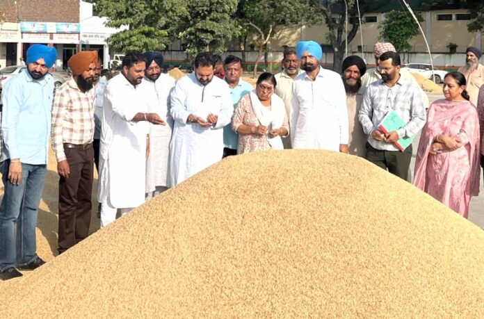 Amloh Paddy Procurement
